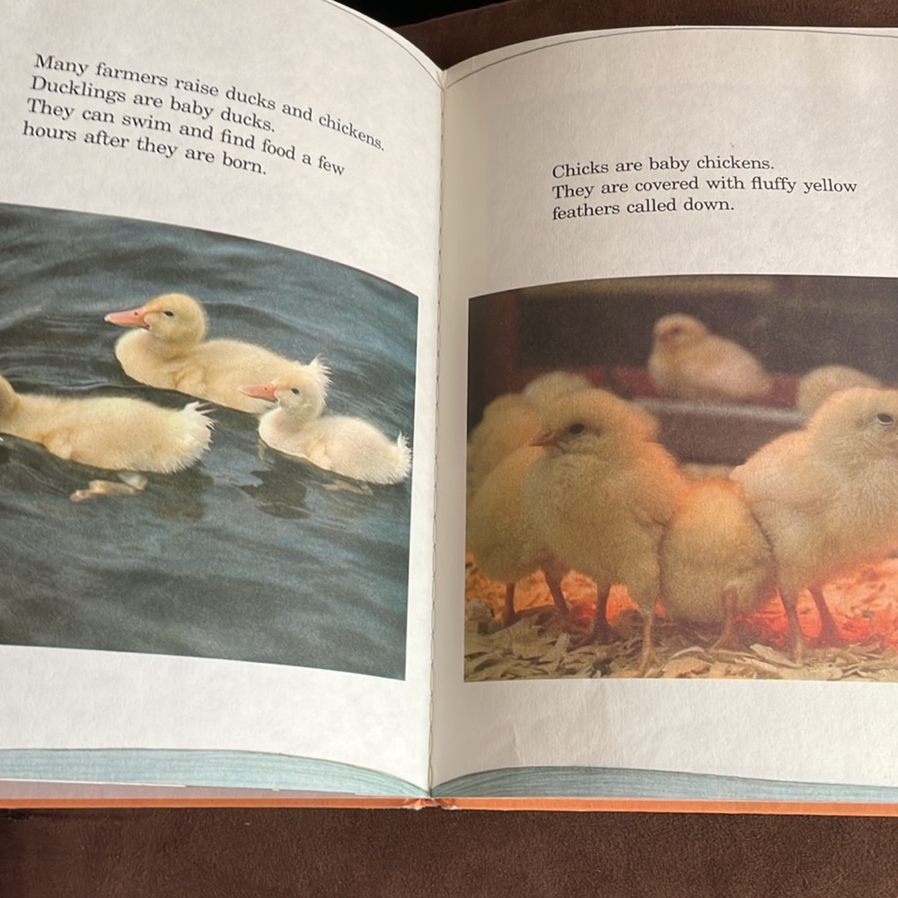Sesame Street Grover's Book of Cute Little Baby Animals Hardcover 1980 - Picture 10 of 10